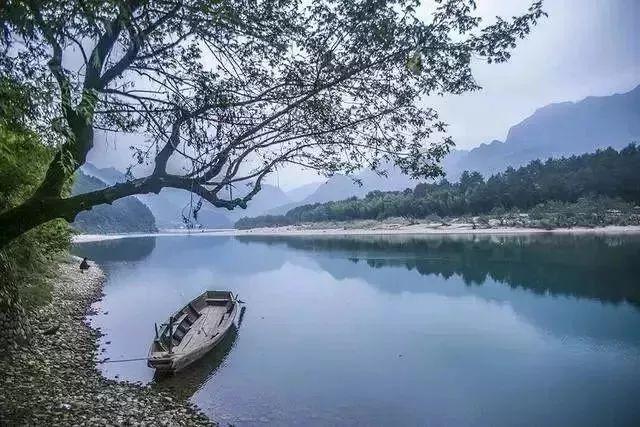 春雨直播app