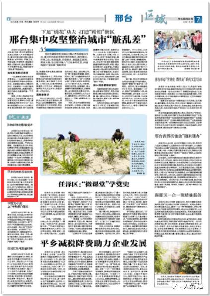 万词王