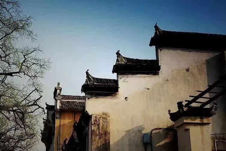 合金装备：幸存
